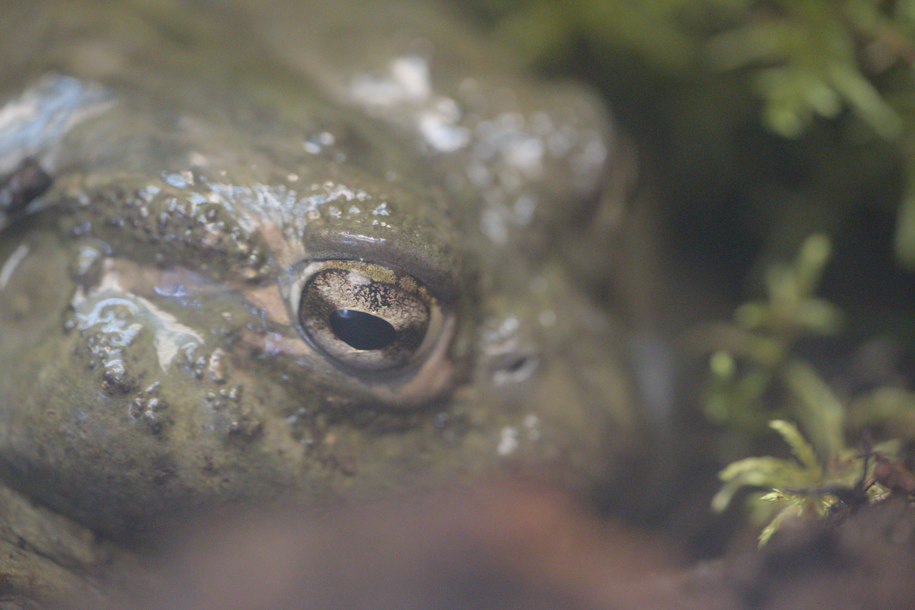 2025/10/12 - zoo/DSC_0176.jpg